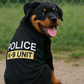 Police K-9 Unit