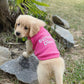 Barking Diva