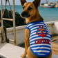 Captain