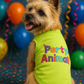 Party Animal