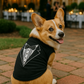 Tuxedo
