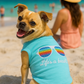 Life's a beach!