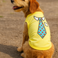 Tie