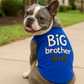 Big Brother