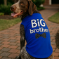 Big Brother