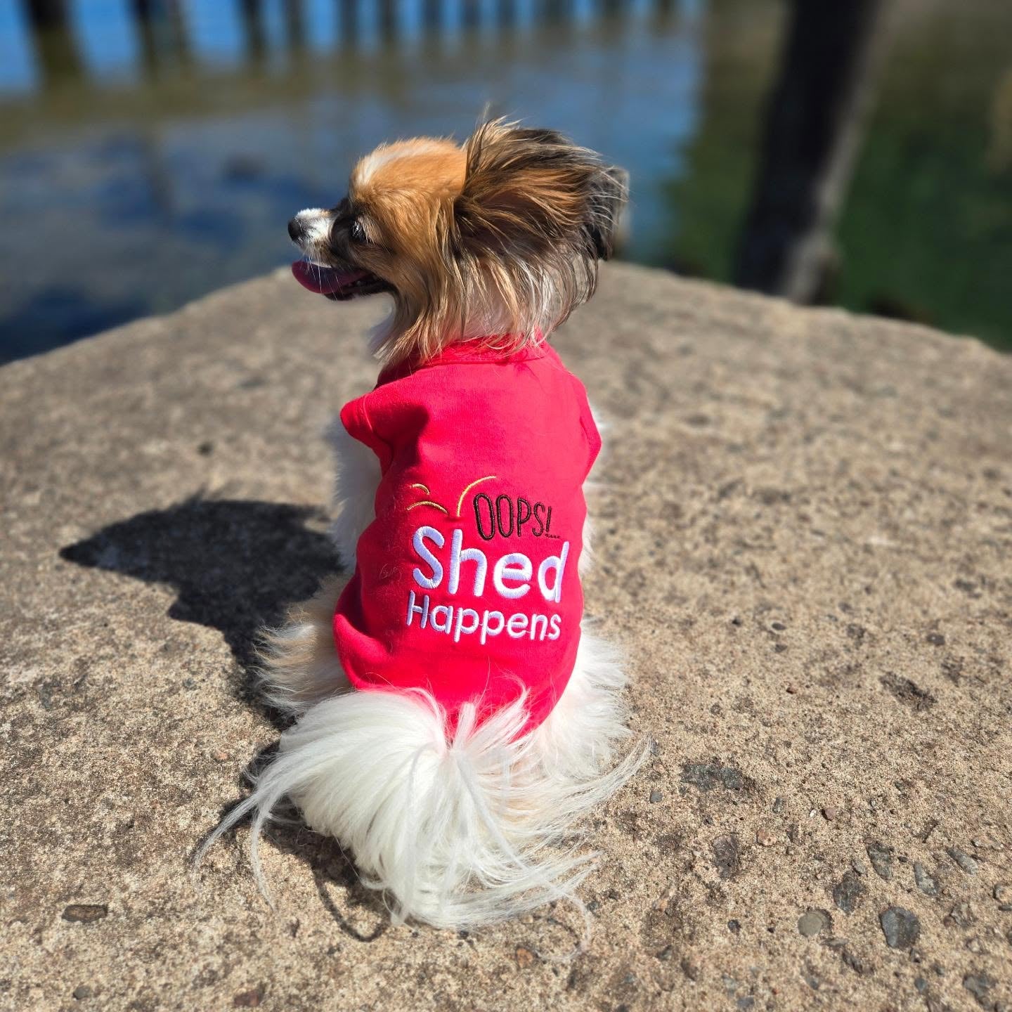 Shed Happens