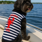 Lobster Chasing Tail Tee