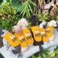 Bee Kind