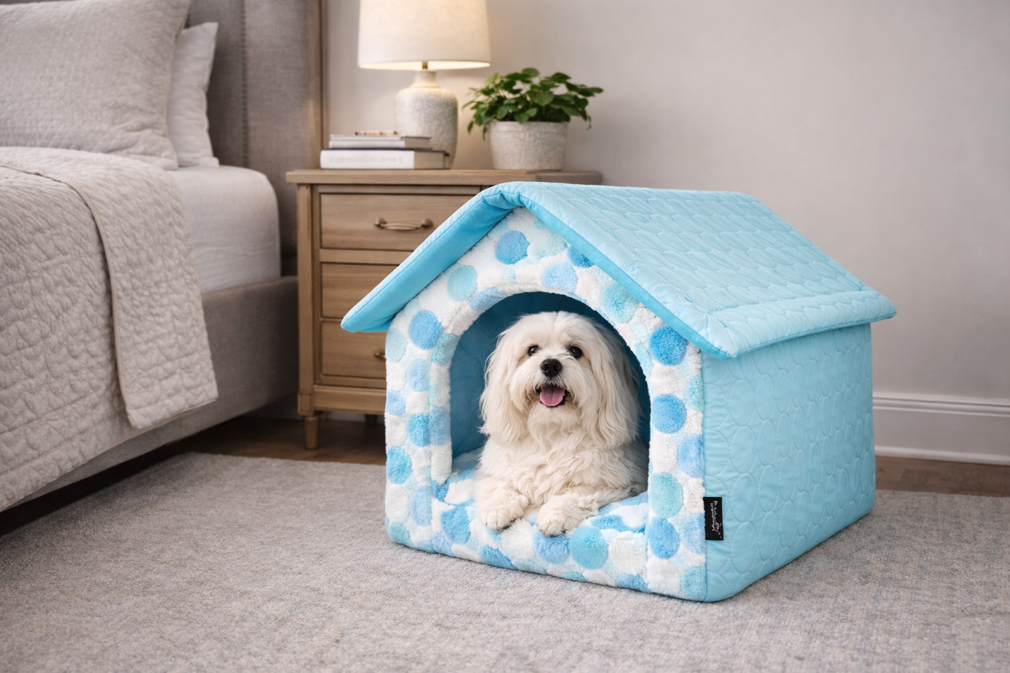 Cotton Candy House - Blue [M]