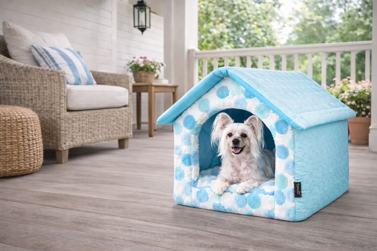 Cotton Candy House - Blue [M]