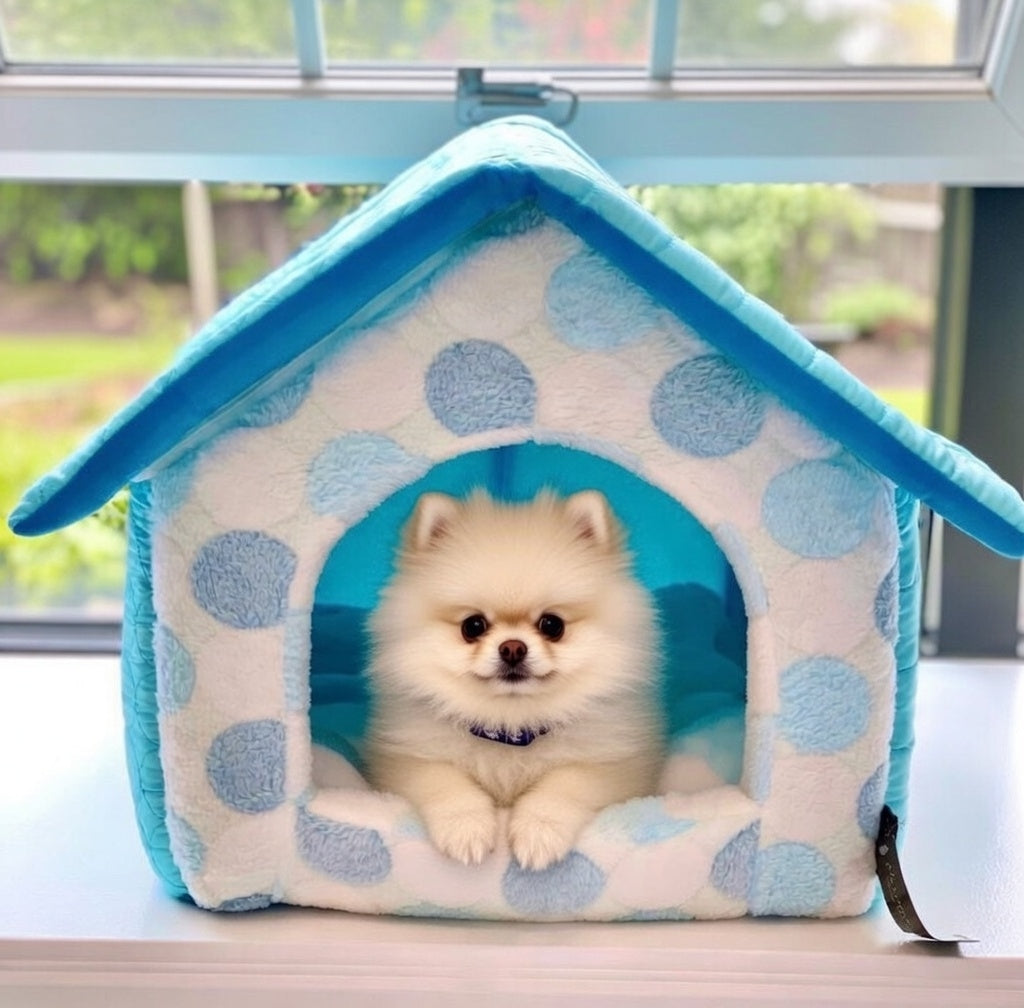 Cotton Candy House - Blue [S]