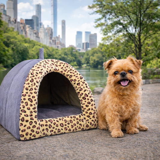 Safari Cove - Purple