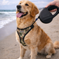 Retractable Leash [M] - Black