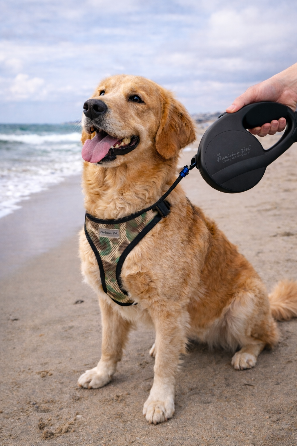 Retractable Leash [M] - Black