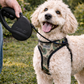 Retractable Leash [M] - Black