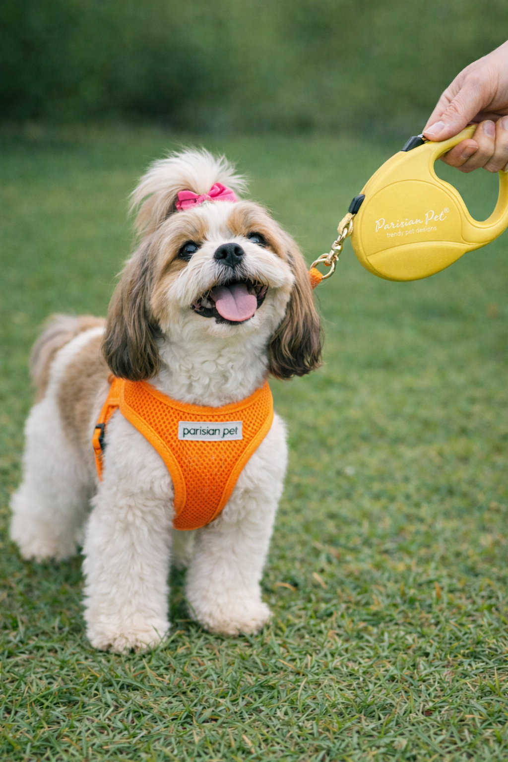 Retractable Leash [M] - Yellow