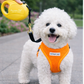 Retractable Leash [M] - Yellow