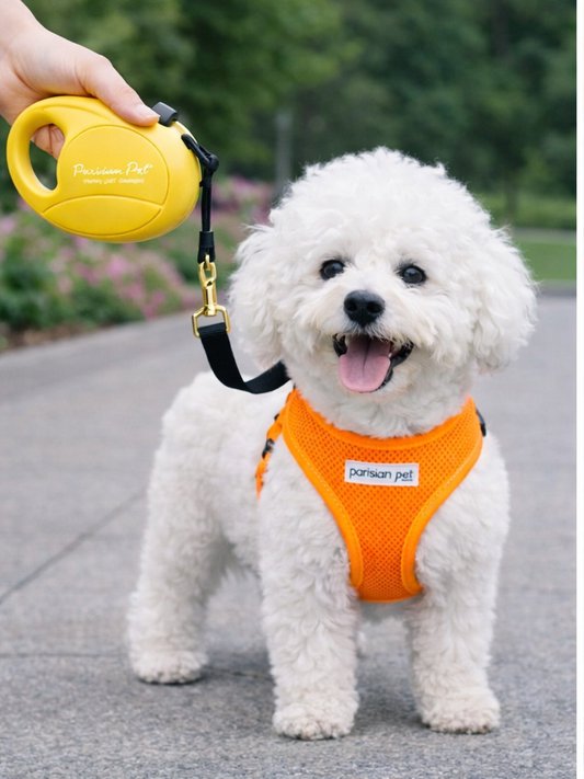 Retractable Leash [M] - Yellow
