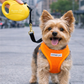 Retractable Leash [M] - Yellow