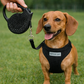 Crystal Retractable Leash Black