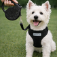 Crystal Retractable Leash Black