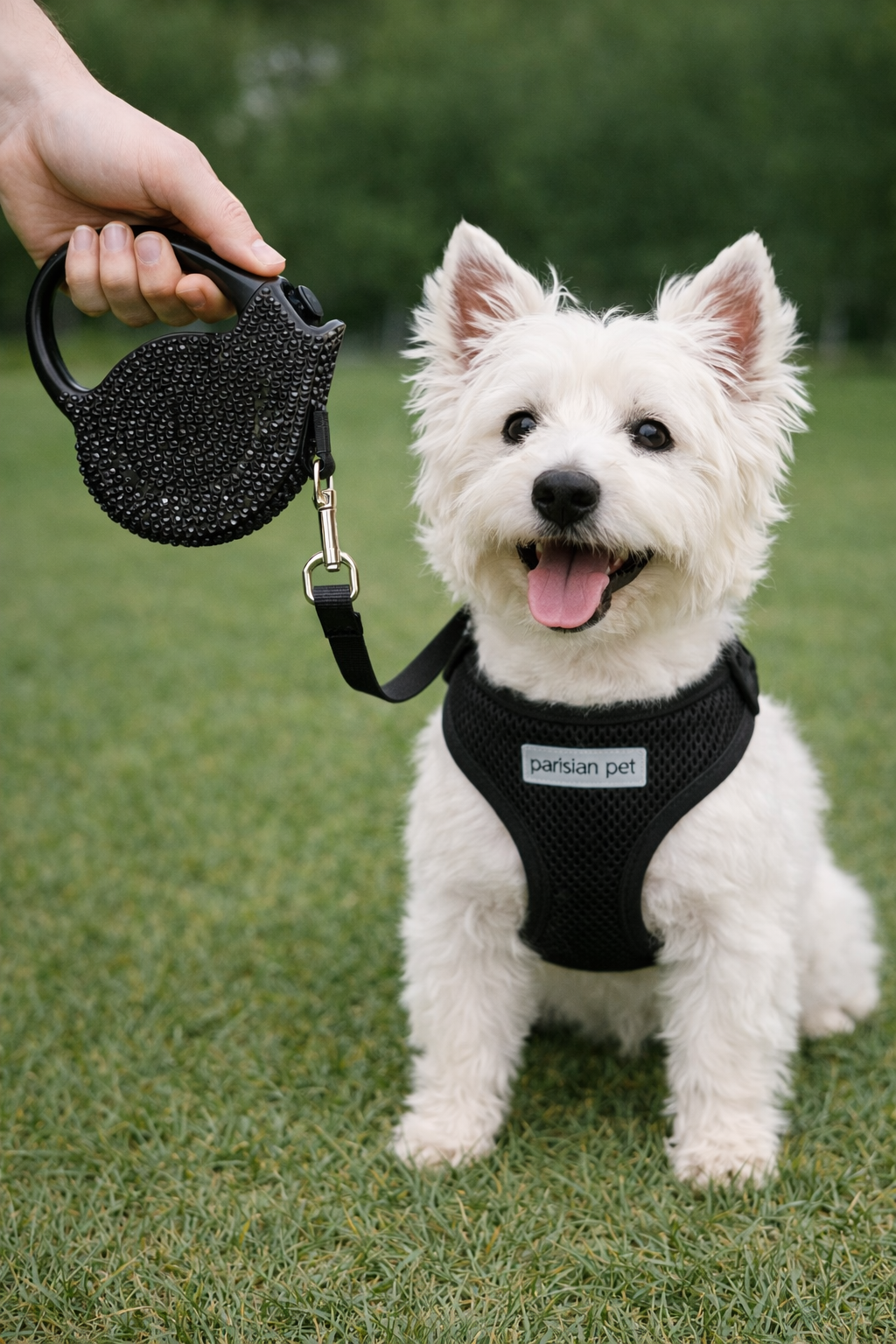 Crystal Retractable Leash Black