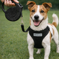 Crystal Retractable Leash Black