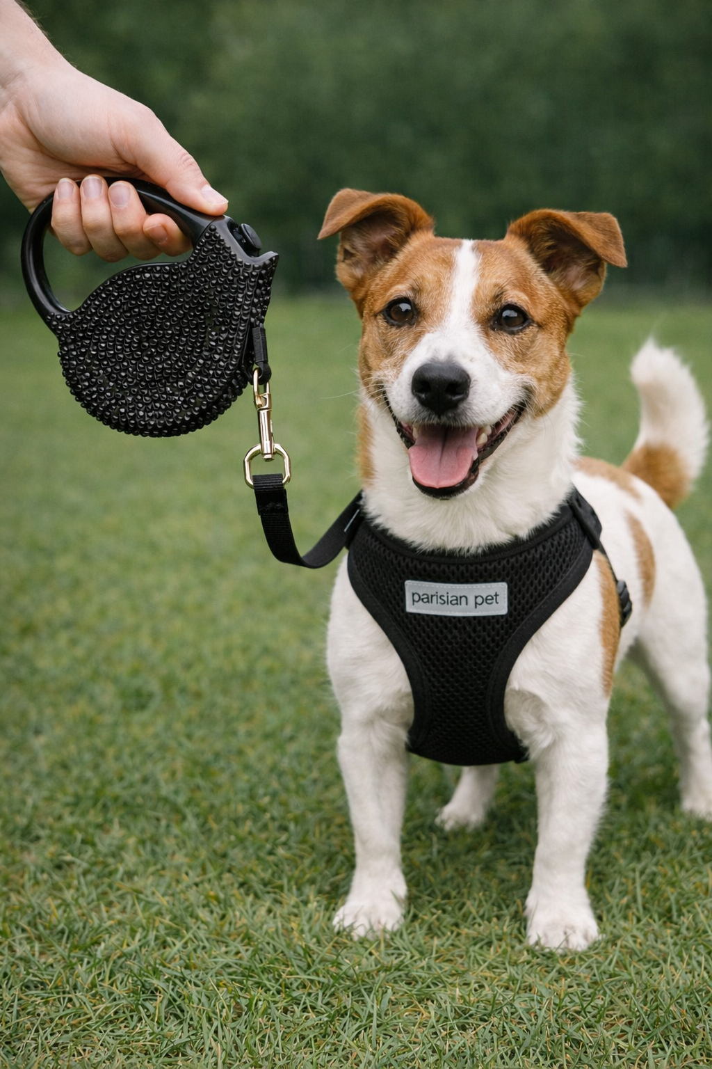 Crystal Retractable Leash Black