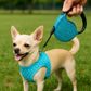 Crystal Retractable Leash Blue