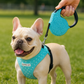 Crystal Retractable Leash Blue