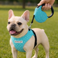 Crystal Retractable Leash Blue