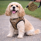 Crystal Retractable Leash Leopard