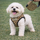 Crystal Retractable Leash Leopard