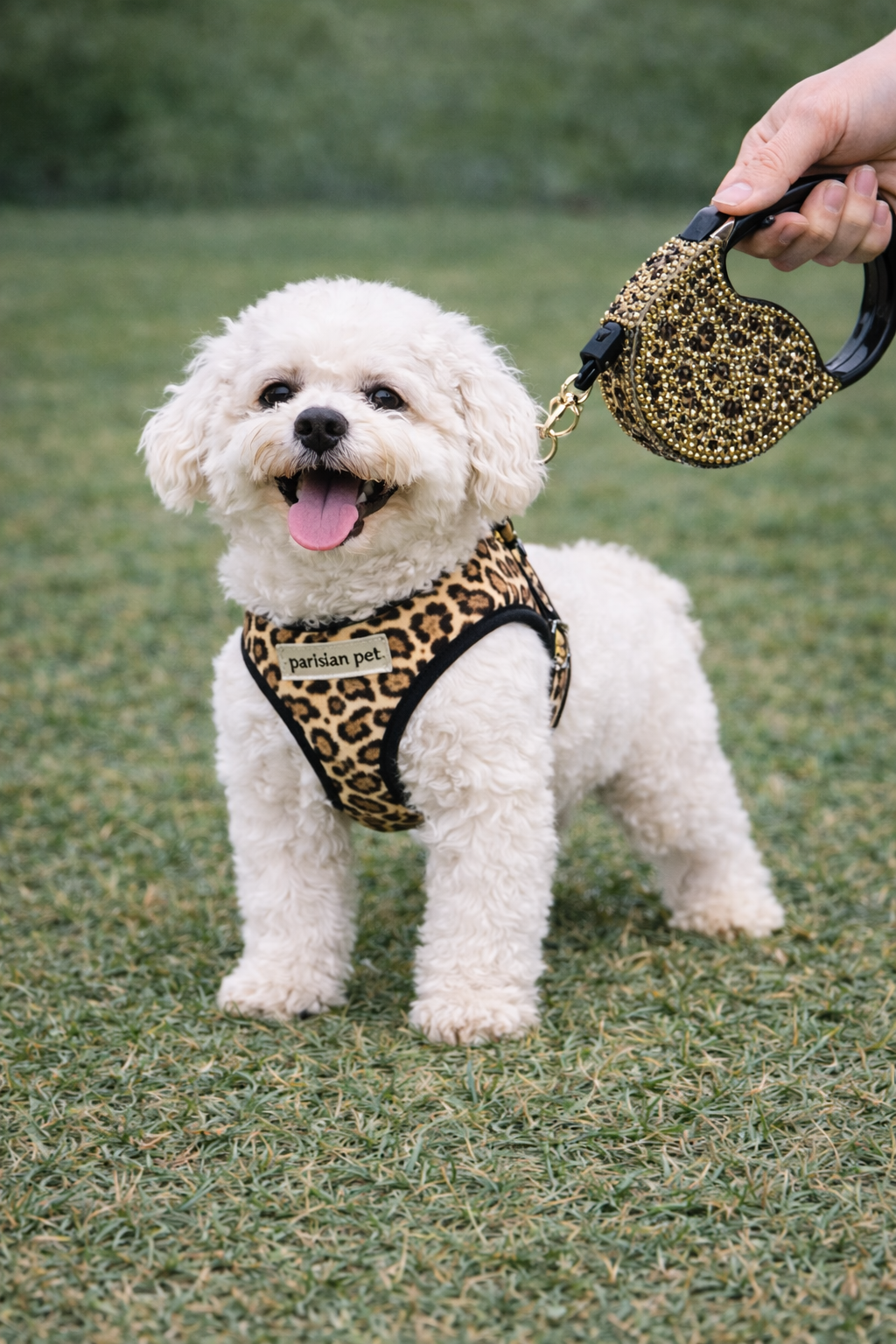 Crystal Retractable Leash Leopard