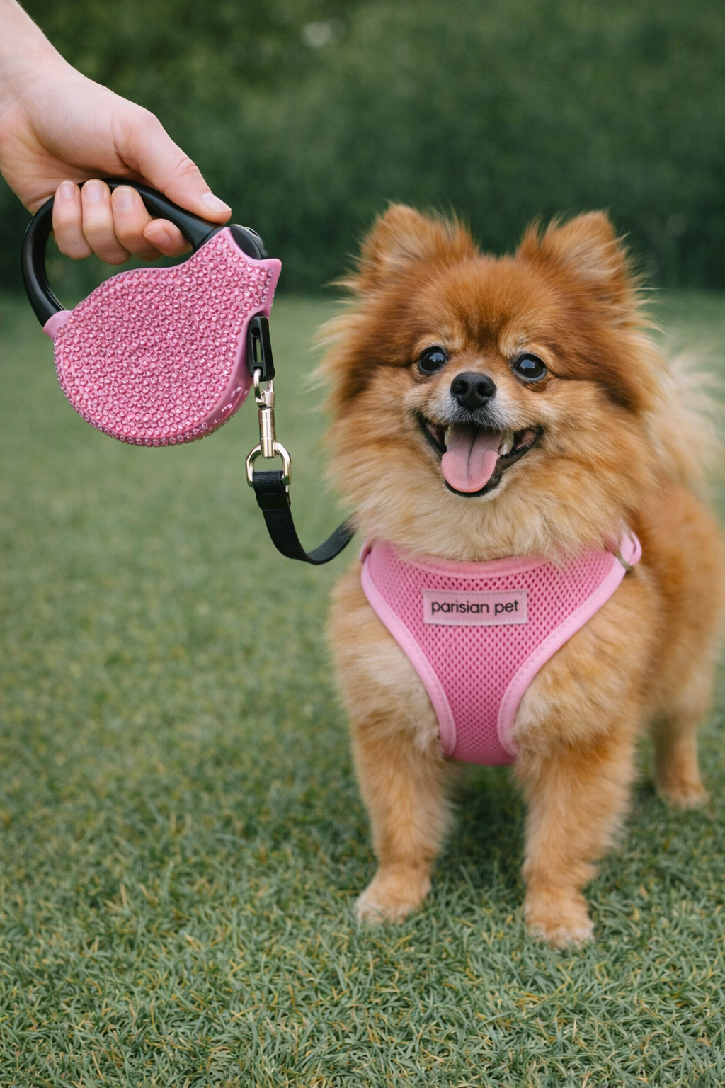 Crystal Retractable Leash Pink