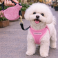 Crystal Retractable Leash Pink