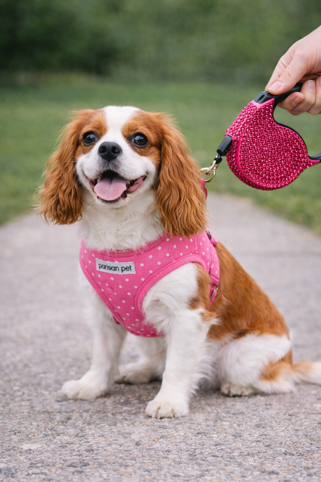 Crystal Retractable Leash Dark Pink