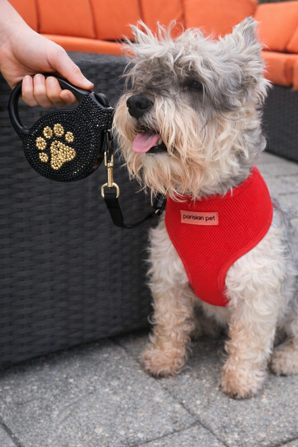 Crystal Retractable Leash Golden Paw