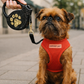 Crystal Retractable Leash Golden Paw