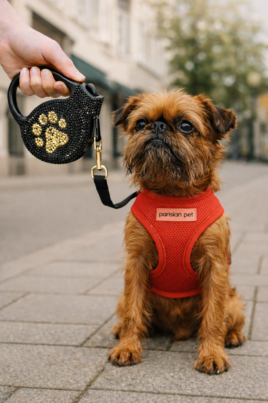 Crystal Retractable Leash Golden Paw