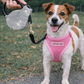 Crystal Retractable Leash Silver