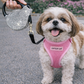 Crystal Retractable Leash Silver