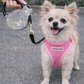 Crystal Retractable Leash Silver