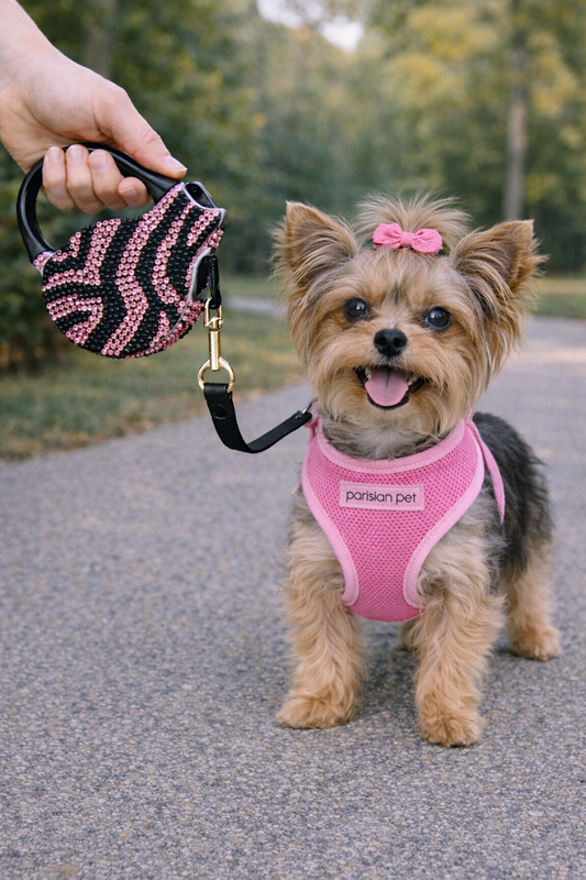 Crystal Retractable Leash Zebra Pink