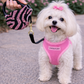 Crystal Retractable Leash Zebra Pink