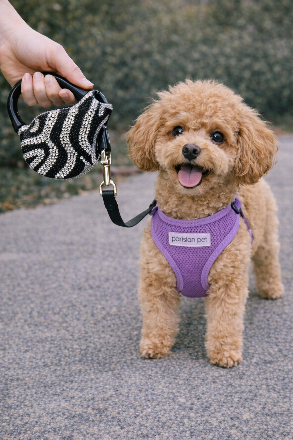 Crystal Retractable Leash Zebra Silver