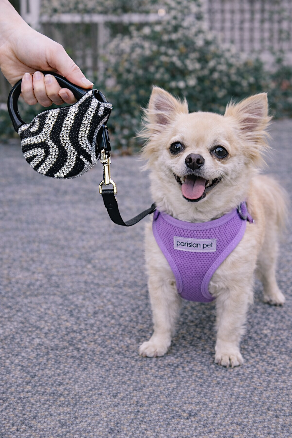 Crystal Retractable Leash Zebra Silver