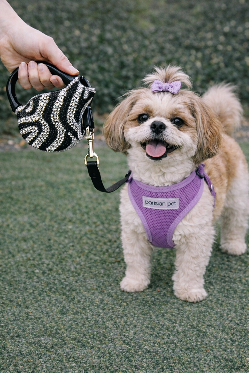 Crystal Retractable Leash Zebra Silver