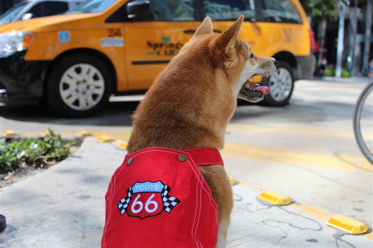 Route 66 Jumpsuit Red