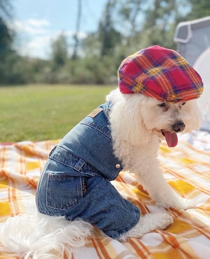 Denim Overalls